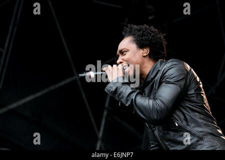 Liverpool, Regno Unito. 25 Ago, 2014. R&B cantautore, Lemar, suona dal vivo a Liverpool International Music Festival di Sefton Park il Lunedì, Agosto 25, 2014. LIMF è il più grande free music festival in Europa. Credito: Christopher Middleton/Alamy Live News Foto Stock