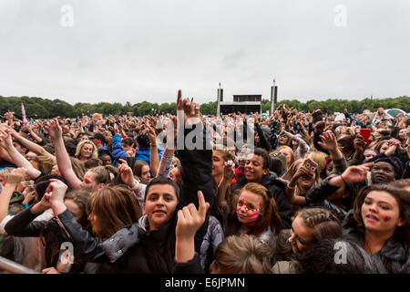 Liverpool, Regno Unito. 25 Ago, 2014. Migliaia braved la pioggia per godere di una giornata libera di musica che comprendeva headliners DJ Fresh e volpi a Sefton Park. Credito: Christopher Middleton/Alamy Live News Foto Stock