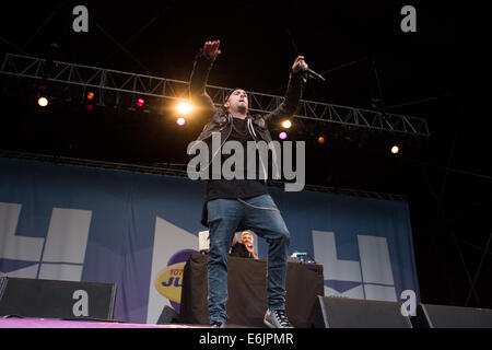 Liverpool, Regno Unito. 25 Ago, 2014. DJ Fresh in primo piano l'evento di Sefton Park in Liverpool Credit: Christopher Middleton/Alamy Live News Foto Stock