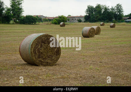 Rotoli di fieno dipinto con la bandiera italiana di colori. A Bornato, Lombardia Italia. Foto Stock