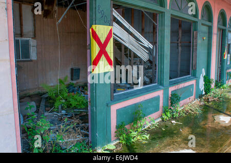 I residenti di ricostruire, la demolizione di case e di vendere le loro terre o rifiutare di tornare al 9Ward dopo l uragano Katrina nella Nuova Orlean Foto Stock