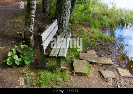 Svuotare panca in legno sulla riva Foto Stock