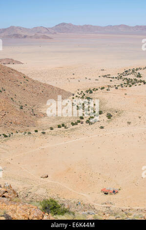 Alberi che crescono in un fiume che si snoda attraverso il deserto del Namib, Aus, Karas, Namibia Foto Stock