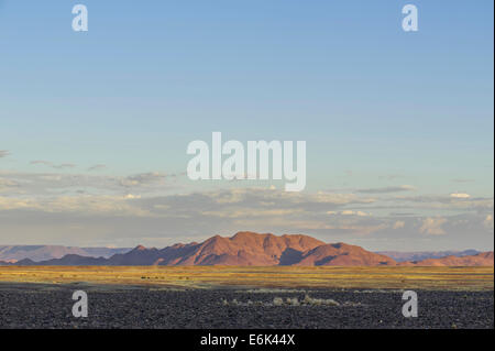 Paesaggio del deserto del Namib, Sesriem, Regione di Hardap, Namibia Foto Stock