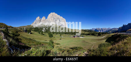 Prato alpino, Gruppo del Sasso Lungo, Grohmannspitze Mountain, sinistra, Fünffingerspitze o cinque dita di picco, centro, Sassolungo montagna Foto Stock