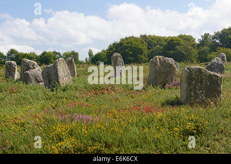 Carnac stones, menhir vicino a Carnac, Dipartimento Morbihan, in Bretagna, Francia Foto Stock