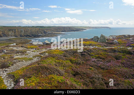 Pointe de Dinan, Crozon penisola, dipartimento del Finistère, Brittany, Francia Foto Stock