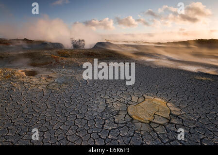 Fumarola in alta temperatura area geotermica di Gunnuhver, Reykjanesskagi, Islanda Foto Stock