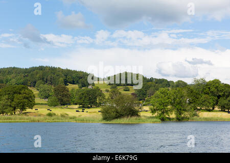Acqua Esthwaite Lake District Cumbria vicino al villaggio di Hawkshead e tra di Windermere e Coniston Water Foto Stock