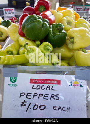 Primo piano della fresca peperoni locali in vendita presso il San Catharines mercato agricolo in Ontario, Canada Foto Stock