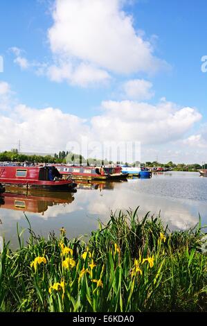 Narrowboats sulla loro ormeggi nel bacino del canale, Barton Marina, Barton-sotto-Needwood, Staffordshire, Inghilterra, Regno Unito, Europa. Foto Stock