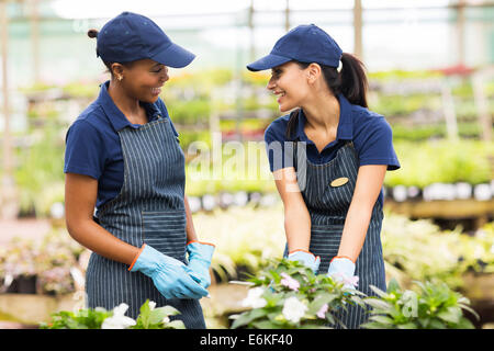 Due giardinieri felici parlando in serra Foto Stock