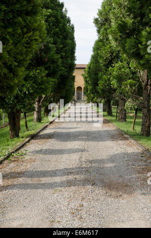 Strada alla Cantina Azienda Agricola Fratelli Berlucchi Collina Berlucchi Borgonato. Lombardia, Italia. Foto Stock