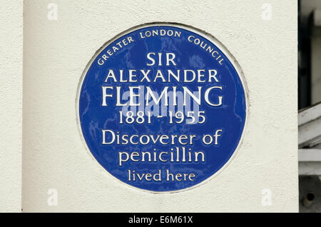 Targa blu per Alexander Fleming sul muro di casa, Danvers St, a Chelsea, Londra SW3. Foto Stock