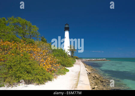 SEA GRAPE LIGHTHOUSE CAPE FLORIDA STATE PARK KEY BISCAYNE MIAMI FLORIDA USA Foto Stock