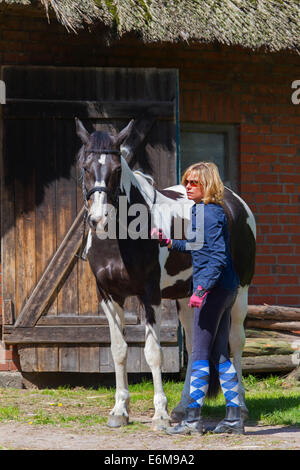 American Indian cavallo (Equus caballus ferus) Pinto cavallo con Tobiano macchiato il pattern di colori di fronte stabile al maneggio Foto Stock