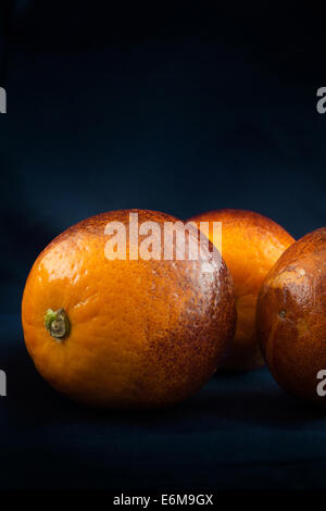 Rosso arancione su sfondo blu scuro Foto Stock