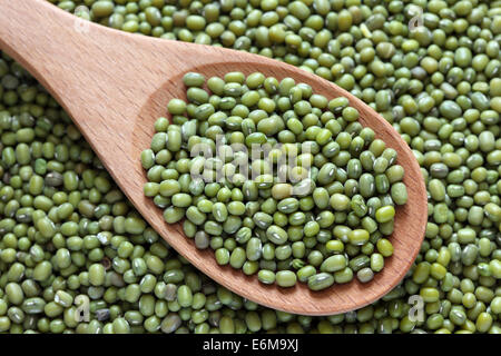 Verde fagioli mung in un cucchiaio di legno sul verde mung sfondo. Foto Stock