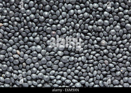 Nero di lenticchie beluga sfondo. Close-up. Foto Stock
