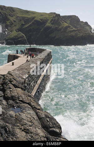 Mullion Cove penisola di Lizard Cornwall Inghilterra REGNO UNITO Foto Stock