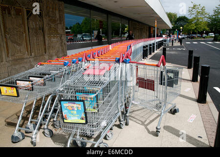 Supermercato carrelli Sainsbury's Worcester Worcestershire Inghilterra REGNO UNITO Foto Stock