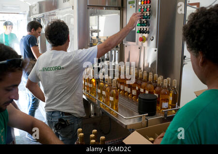 Passito di Pantelleria produzione Sicilia Italia Foto Stock