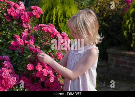 Ragazza giovane di ispezionare le rose rosa per "creepy imperfezioni' Foto Stock