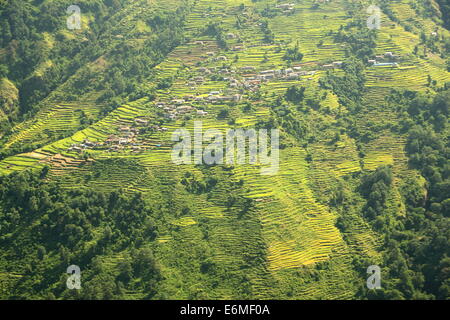 Landruk villaggio in mezzo a campi di riso terrazzati visto dal lato opposto del Madki Khola-River Valley. Ghandruk-Annapurna Foto Stock