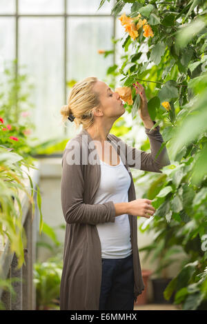 Fioristi donna che lavorano in serra. Foto Stock