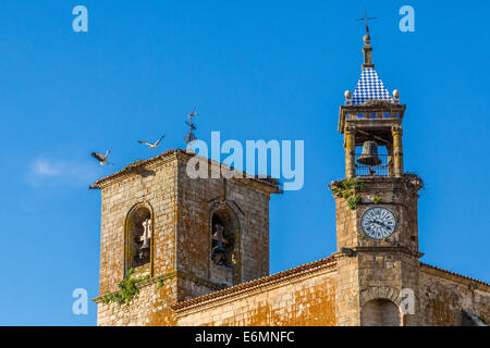 Cicogna bianca nidifica sul tetto della chiesa di Santa María la Mayor, Trujillo, Spagna Foto Stock