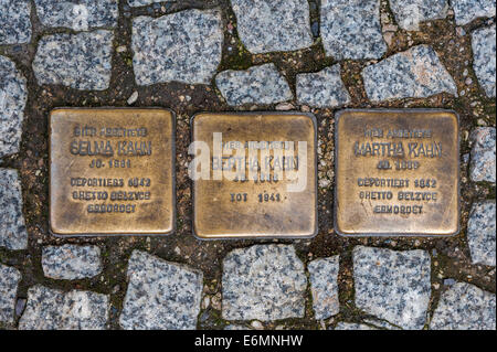 Stolperstein, scogli, in memoria delle vittime della dittatura nella Germania nazista, artista Gunter Demnig Foto Stock