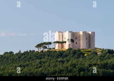 Castel del Monte Castello, 1240 -1250, Sito Patrimonio Mondiale dell'UNESCO, Andria, Barletta-Andria-Trani Provincia, Puglia, Italia Foto Stock