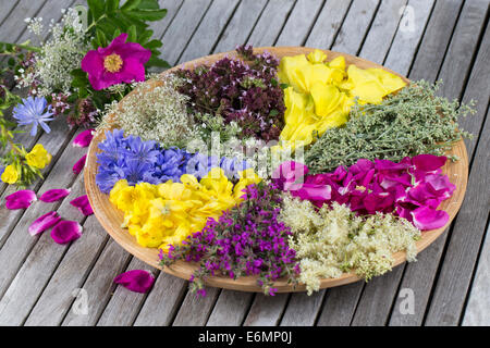 Blütenteller, Blüten, Blumen, Kräuter, Kräuter sammeln, Kräuterernte, Blütenblätter auf einem Teller sortiert zum Trocknen, essb ed Foto Stock