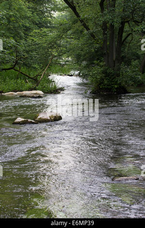 Brook, rivolo, stream, Bach, Tiefland-Bach, Naturnaher Bachlauf, Fluß, Fluss, Warnow, Mecklenburg-Vorpommern Foto Stock