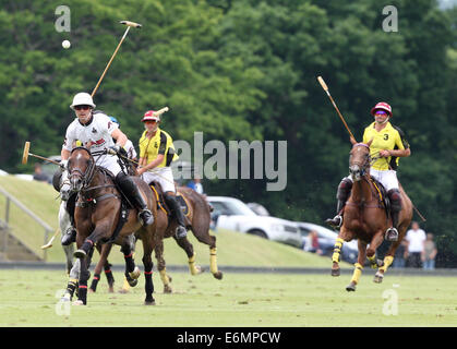 Pablo MacDonough gioca per gli Emirati Arabi Uniti Polo team nel 2013 Veuve Clicquot Polo Gold Cup, a Trippets Polo Ground Foto Stock