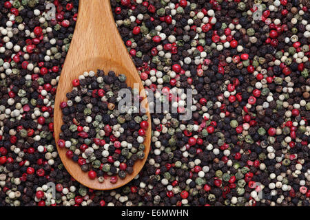 Grani di pepe misto in un cucchiaio di legno su un misto di sfondo peppe Foto Stock