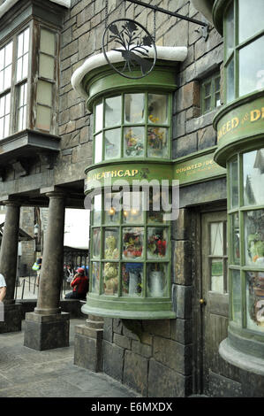 Harry Potter World, Universal Orlando Resort di Orlando, Florida, Stati Uniti d'America Foto Stock