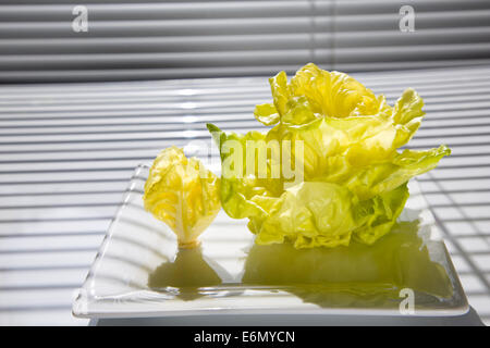 Insalata verde è una grande aggiunta alla dieta Foto Stock