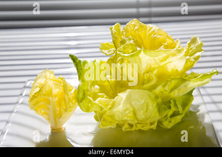 Insalata verde è una grande aggiunta alla dieta Foto Stock