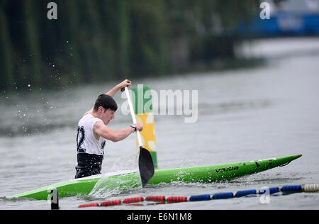 Nanjing, cinese della provincia di Jiangsu. Il 27 agosto, 2014. Argento Medaglia Robert Hendrick dell Irlanda compete in uomini della C1 ostacolo canoa slalom di Canoë- Kayak evento durante la Nanjing 2014 Olimpiadi della Gioventù in Nanjing, a est della capitale cinese della provincia di Jiangsu, su agosto 27, 2014. Credito: Zhang Hongxiang/Xinhua/Alamy Live News Foto Stock