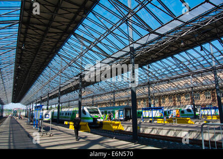 Stazione ferroviaria principale per le piattaforme per treni a lunga percorrenza, Helsinki, Finlandia, Europa Foto Stock