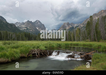 Beaver Dam su Fishhook Creek in Idaho Le Sawtooth Mountains. Foto Stock