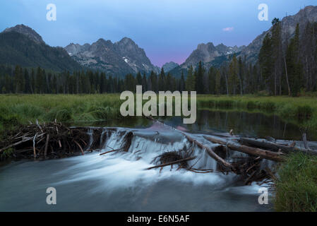 Beaver Dam su Fishhook Creek in Idaho Le Sawtooth Mountains. Foto Stock