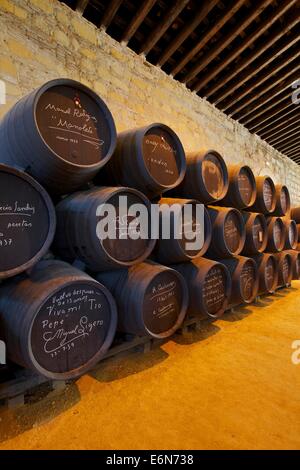 Bodegas Tio Pepe, Gonzalez Byass, Jerez de la Frontera, la provincia di Cadiz Cadice, Andalusia, Spagna, Sud ovest Europa Foto Stock