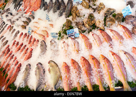 Varietà di pesce fresco su ghiaccio provenienti da tutto il mondo per la vendita in N e un negozio di pesce Walthamstow High Street London REGNO UNITO KATHY DEWITT Foto Stock