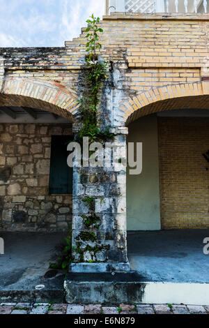 La vegetazione cresce nel mortaio di una colonna di un porticato anteriore di un edificio in Frederiksted, U. S. Isole vergini Foto Stock