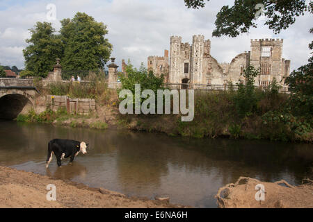 Cowdray Park, Midhurst, West Sussex Foto Stock