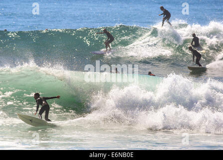 Malibu, California, USA. Il 27 agosto, 2014. Surfers la cattura di un onda in Malibu a Surfrider beach come grandi onde gonfiata dall uragano distanti Marie arriva a dalle spiagge della California del Sud. Credito: ZUMA Press, Inc./Alamy Live News Foto Stock