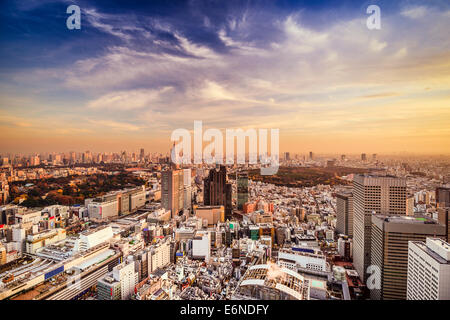 Tokyo, Giappone skyline della città al quartiere di Shinjuku.