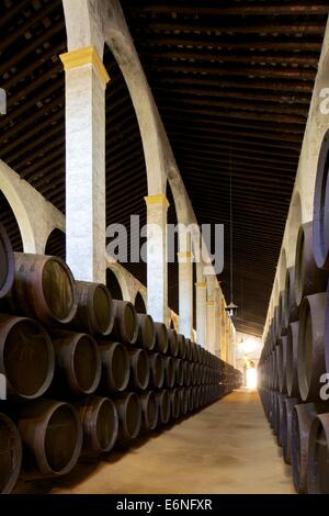 Bodegas Lustau, Jerez de la Frontera, la provincia di Cadiz Cadice, Andalusia, Spagna, Sud ovest Europa Foto Stock